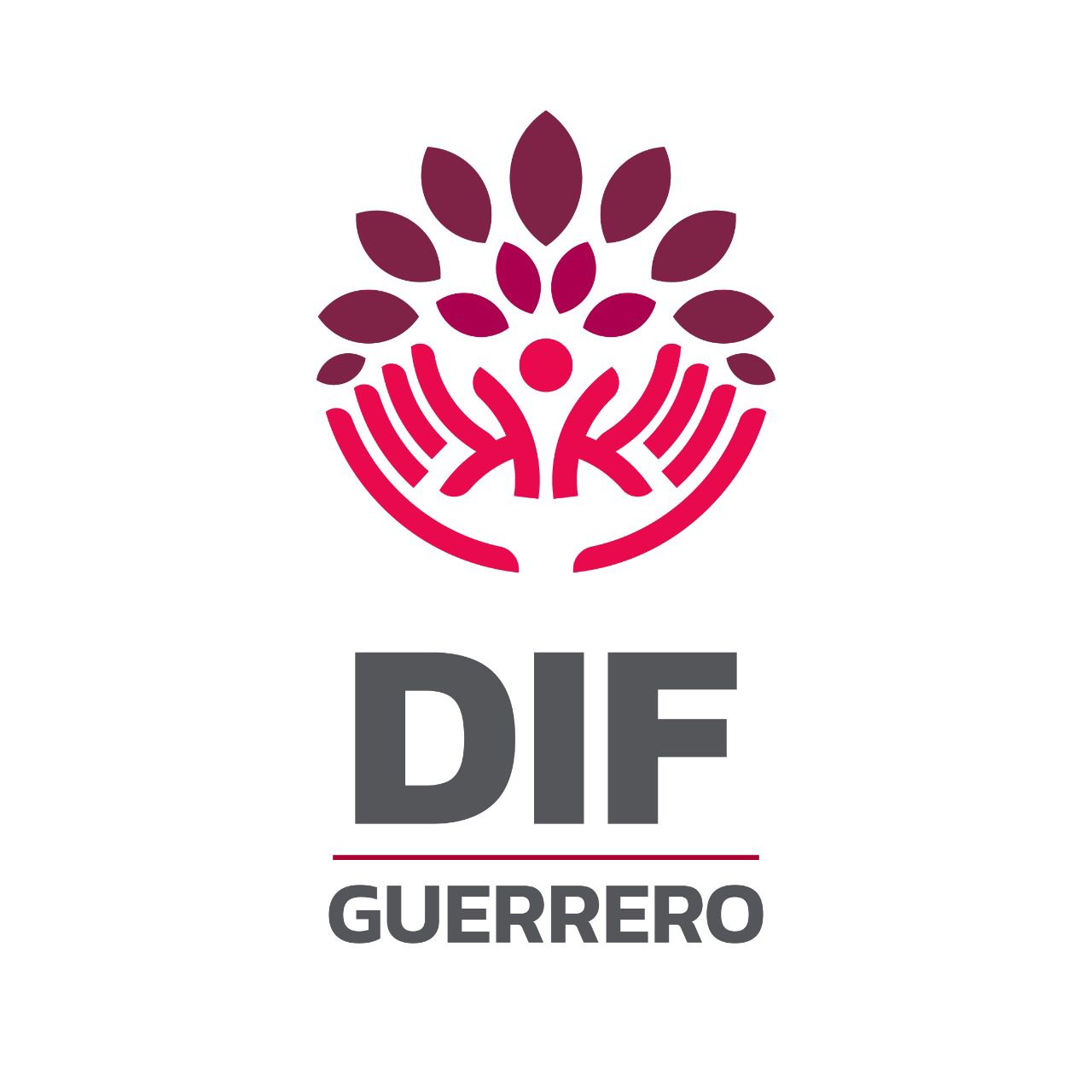 DIF Guerrero